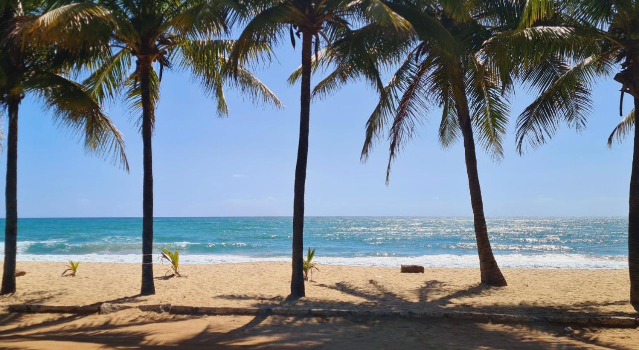 Trevily Porto Flats A 100M Da Praia Pôrto das Galinhas 外观 照片